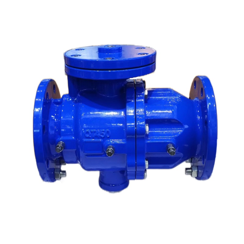 DSBP741X低阻力倒流防止器